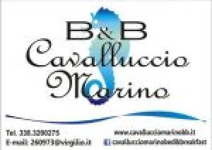 B&B Cavalluccio Marino