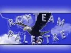 Roy Team Palestre