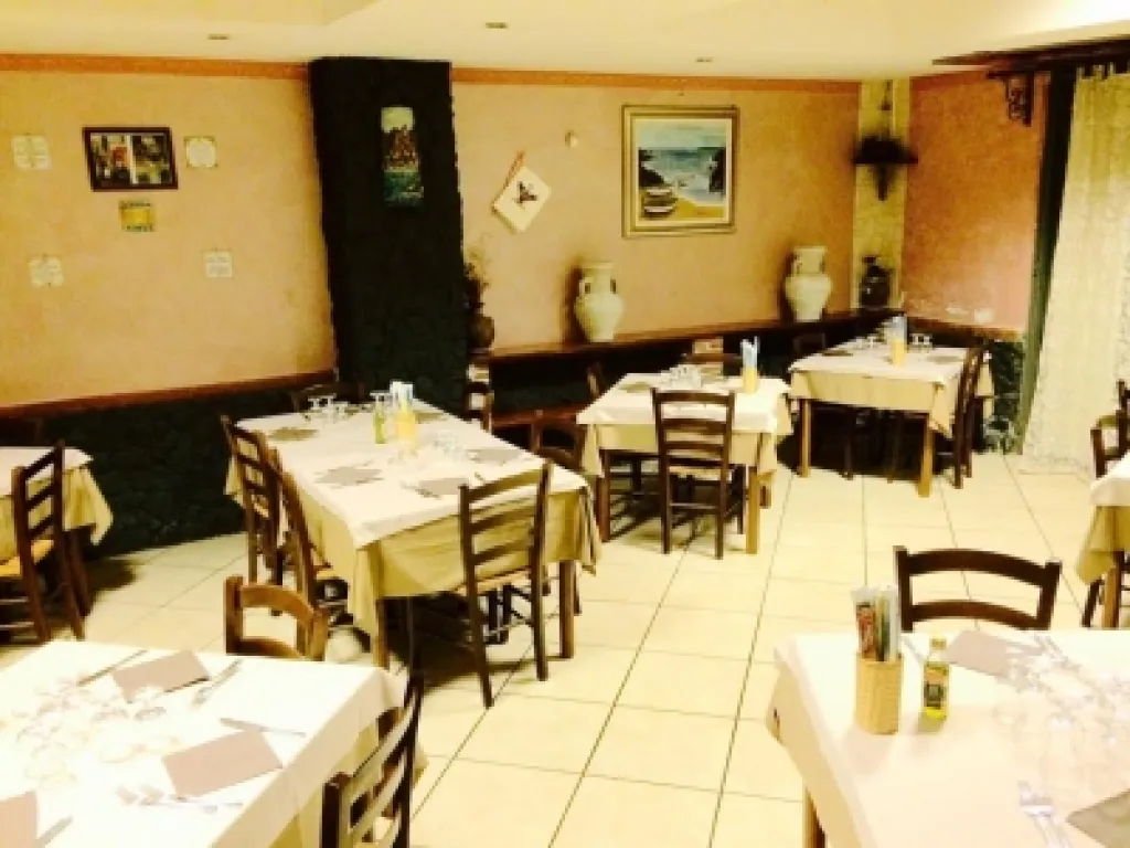 Disalvo discount coupons